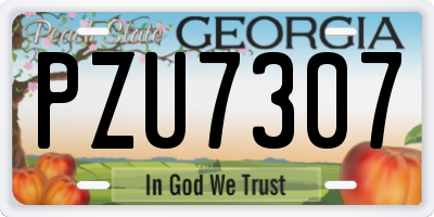 GA license plate PZU7307