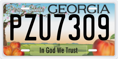 GA license plate PZU7309