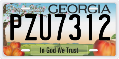GA license plate PZU7312