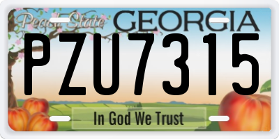 GA license plate PZU7315