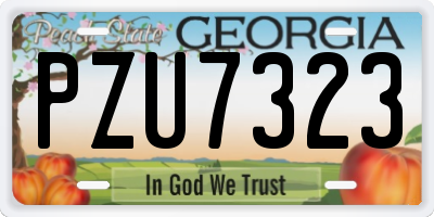 GA license plate PZU7323