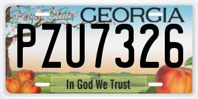 GA license plate PZU7326