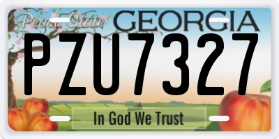 GA license plate PZU7327