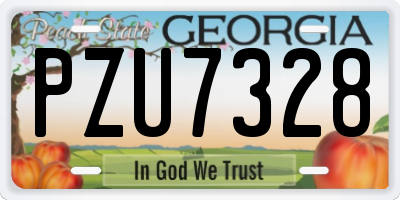 GA license plate PZU7328