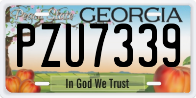 GA license plate PZU7339