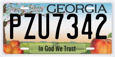 GA license plate PZU7342