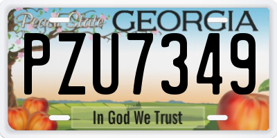 GA license plate PZU7349