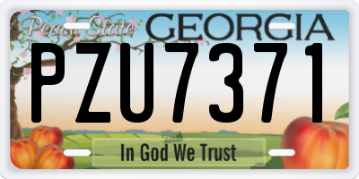 GA license plate PZU7371