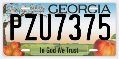 GA license plate PZU7375