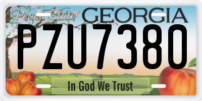 GA license plate PZU7380