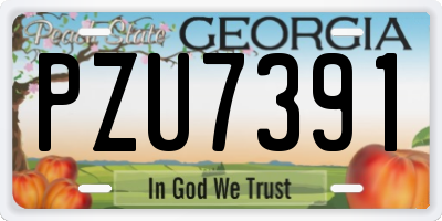 GA license plate PZU7391