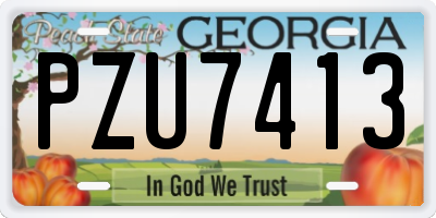 GA license plate PZU7413