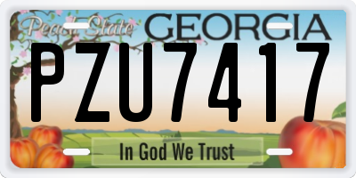 GA license plate PZU7417