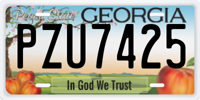 GA license plate PZU7425