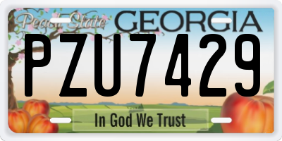 GA license plate PZU7429