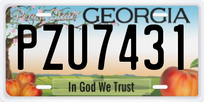 GA license plate PZU7431