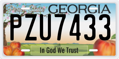 GA license plate PZU7433