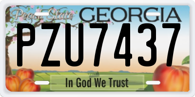 GA license plate PZU7437