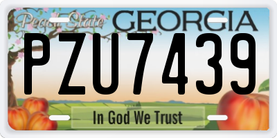 GA license plate PZU7439