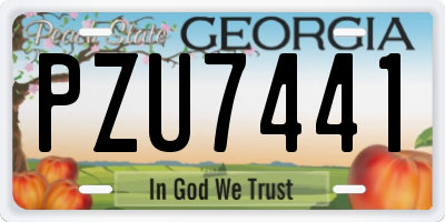 GA license plate PZU7441