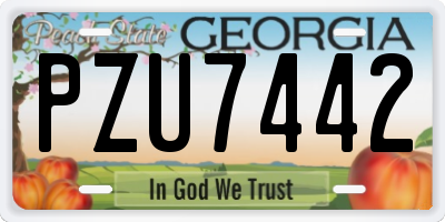 GA license plate PZU7442