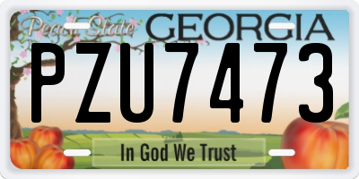 GA license plate PZU7473