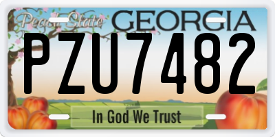 GA license plate PZU7482