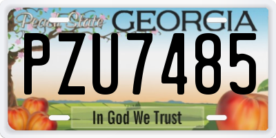 GA license plate PZU7485