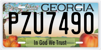 GA license plate PZU7490