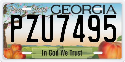 GA license plate PZU7495