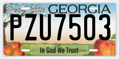 GA license plate PZU7503
