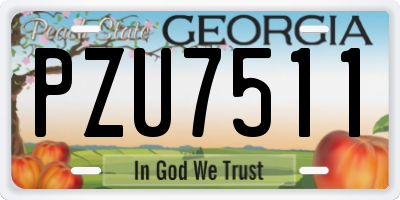 GA license plate PZU7511