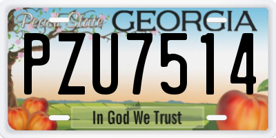 GA license plate PZU7514
