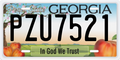 GA license plate PZU7521