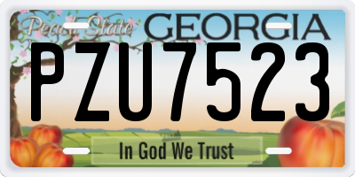 GA license plate PZU7523