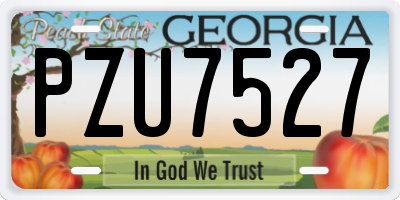 GA license plate PZU7527