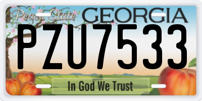 GA license plate PZU7533