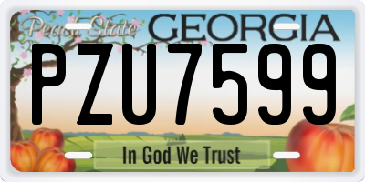 GA license plate PZU7599
