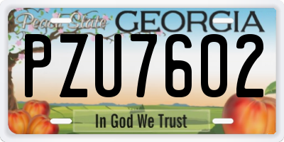 GA license plate PZU7602