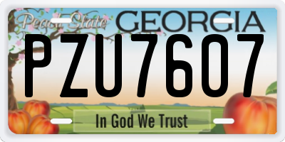 GA license plate PZU7607