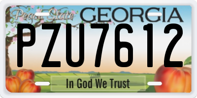 GA license plate PZU7612