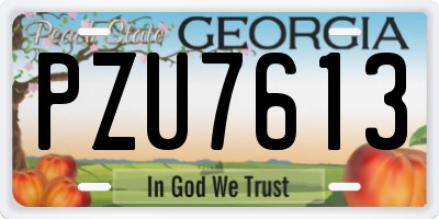 GA license plate PZU7613