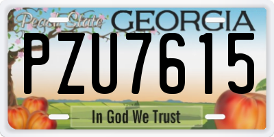 GA license plate PZU7615