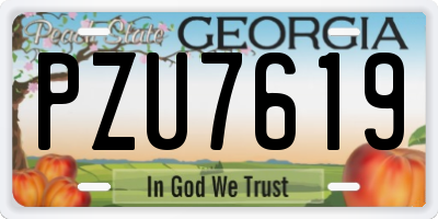 GA license plate PZU7619