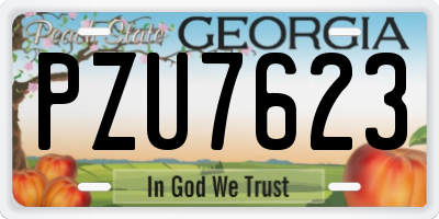 GA license plate PZU7623