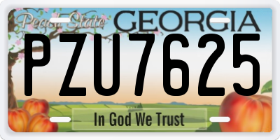 GA license plate PZU7625