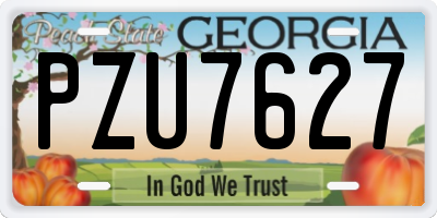 GA license plate PZU7627