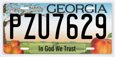 GA license plate PZU7629