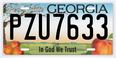 GA license plate PZU7633
