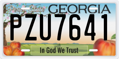 GA license plate PZU7641